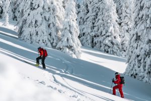Chalet Chante Bise ski-rando-l-meyer-14423